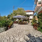 Nontas 33